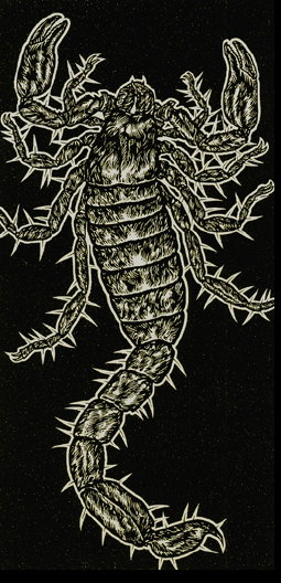 12_scorpion.jpg
